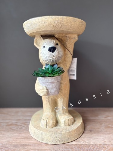 Next neutral bertie the bear - neutral,